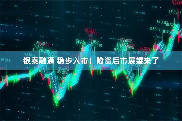 银泰融通 稳步入市！险资后市展望来了