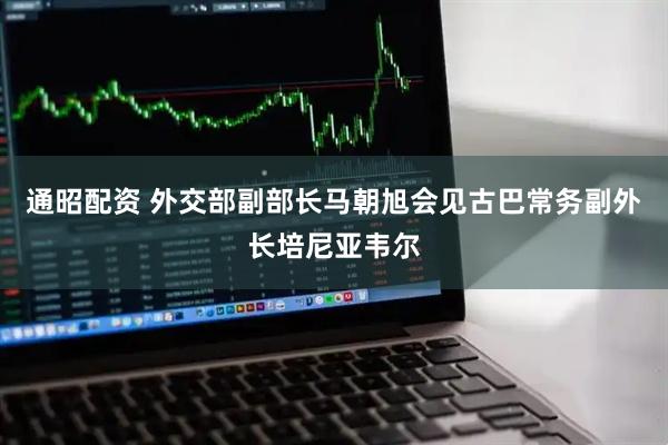 通昭配资 外交部副部长马朝旭会见古巴常务副外长培尼亚韦尔