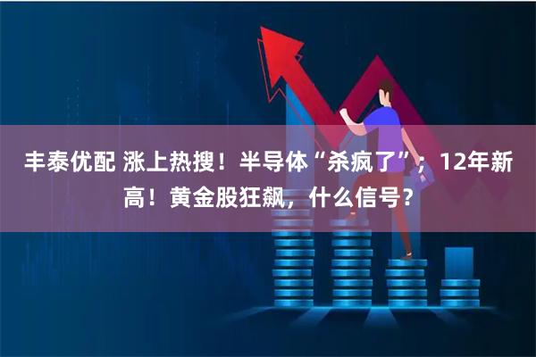 丰泰优配 涨上热搜！半导体“杀疯了”；12年新高！黄金股狂飙，什么信号？